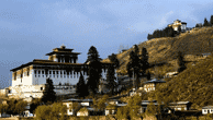 Bhutan pacs img