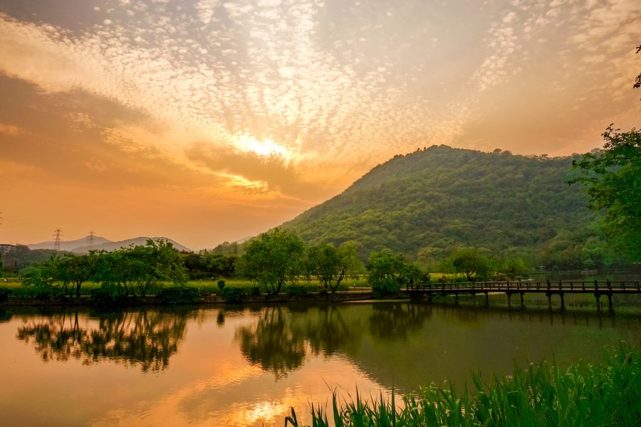 Karnataka and Tamil Nadu