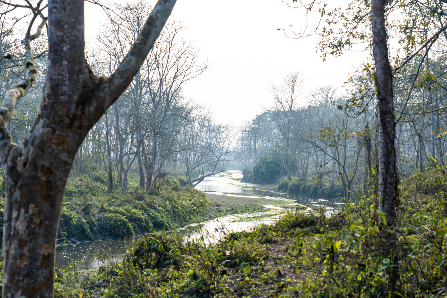 Day 03: Nainital – Corbett (63 kms / approx. 2 hours) 