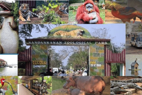 Day 04: Bhubaneswar Sightseeing