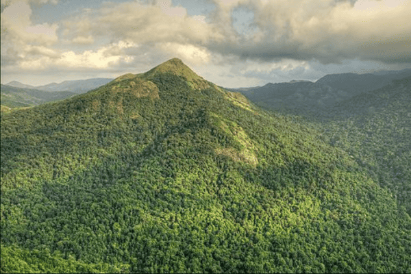 Day 06: Kodaikanal – Munnar (170 kms / approx. 4.5 hrs)