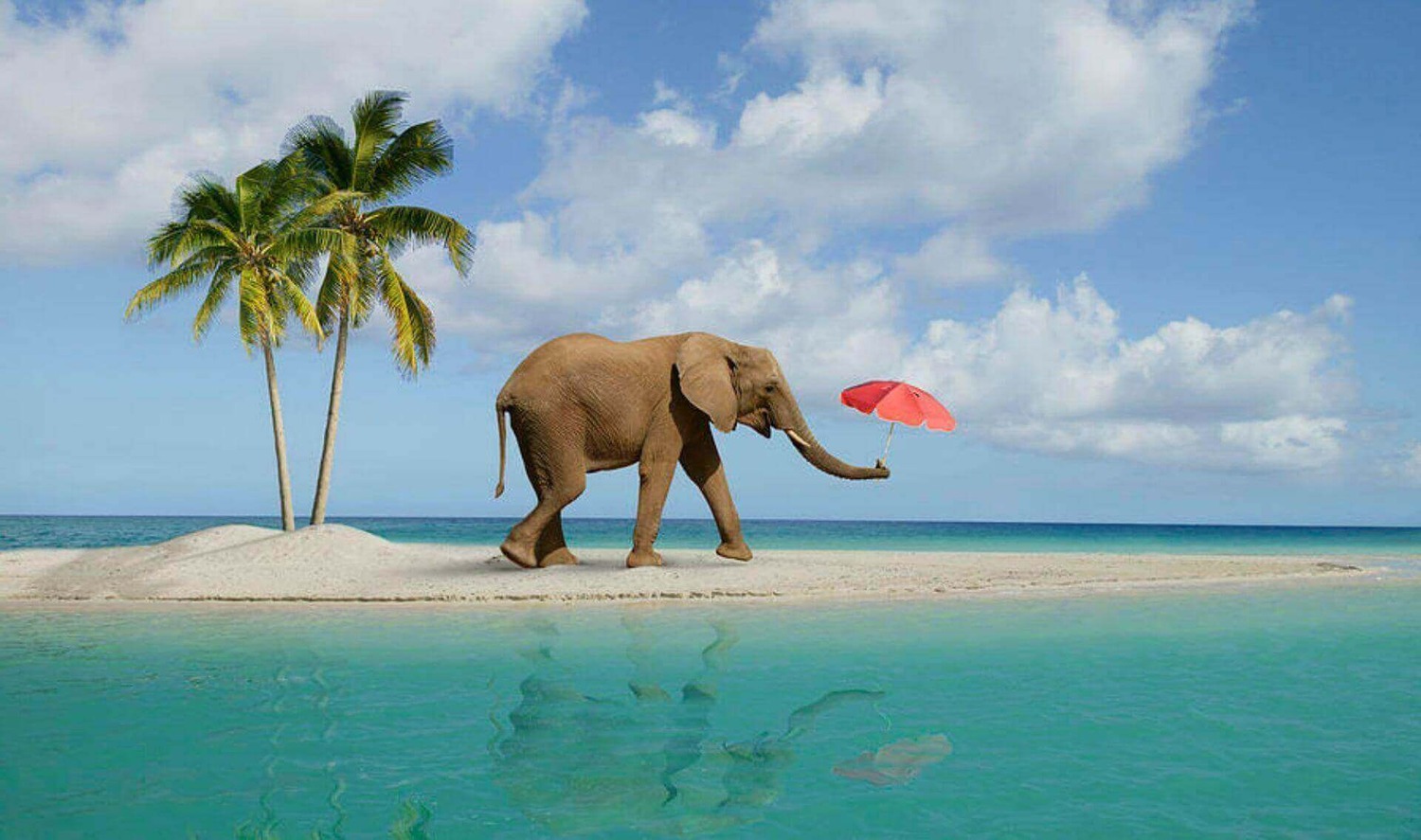 Day 03: Elephant Beach By Sharing Boat